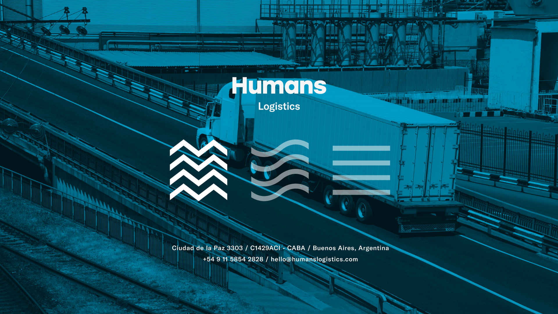 humans